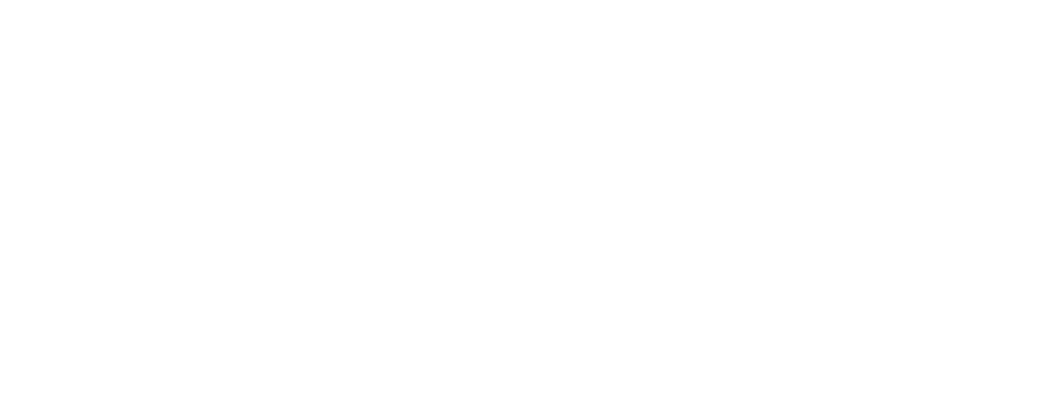 logo reverse